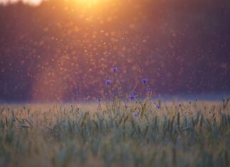 Czy da się naprawić krzywy kręgosłup? Czy da się naprawić krzywy kręgosłup?