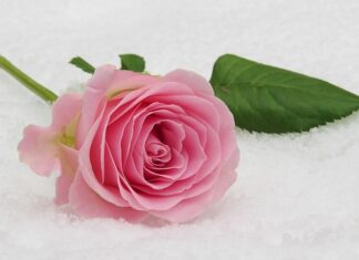 Czy wypada iść na komunię w czarnych spodniach? Czy wypada iść na komunię w czarnych spodniach?