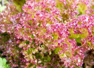 Jaki wkład do pościeli dla noworodka? Jaki wkład do pościeli dla noworodka?