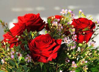 Ile kosztuje najdroższy klocek LEGO? Ile kosztuje najdroższy klocek LEGO?