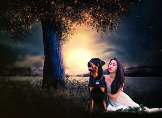 Jaka cerą na dziewczynkę? Jaka cerą na dziewczynkę?