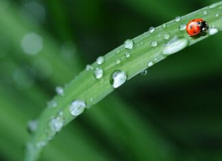 Jaką pościel najlepsza dla niemowlaka? Jaką pościel najlepsza dla niemowlaka?
