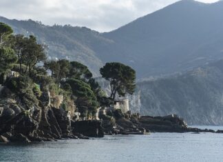 Ile kosztuje kosz 120L?