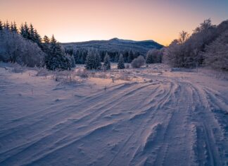 Jakie są opony w wózku widłowym?
