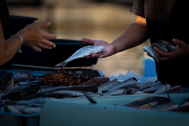 Jak sprzedawać na Bricklink? Jak sprzedawać na Bricklink?