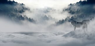 Ile stopni zimową kurtka?