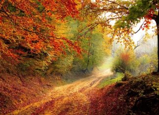 Do którego roku życia dziecko śpi w łóżeczku?