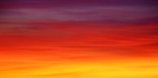 Dlaczego 3 latek nie rozpoznaje kolorów?