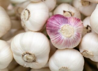 Jak sprawdzić czy dziecko trzyma główkę? Jak sprawdzić czy dziecko trzyma główkę?