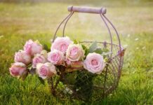 Ile kosztuje kosz na śmieci 240l? Ile kosztuje kosz na śmieci 240l?