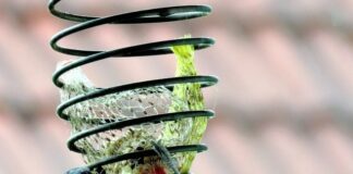 Od czego zależy ilość pokarmu w piersiach?