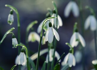 Ile się daje na 18 2023?