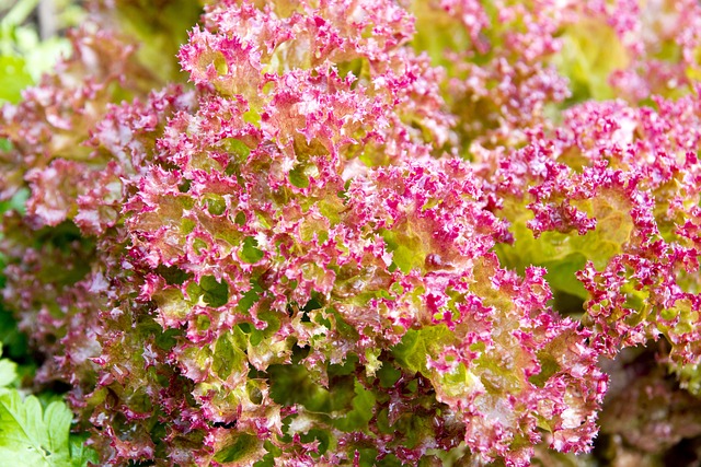 Dlaczego nie powinno się zmieniać pościeli w piątek? Dlaczego nie powinno się zmieniać pościeli w piątek?