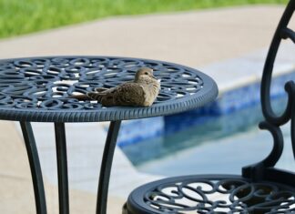 Jaka woda w basenie dla dziecka? Jaka woda w basenie dla dziecka?