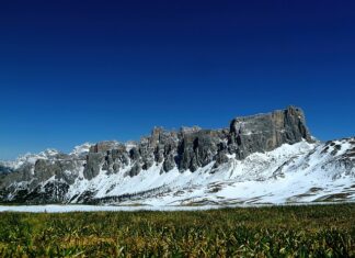 Czy można sypać nawóz na świeżo Posianą trawę? Czy można sypać nawóz na świeżo Posianą trawę?