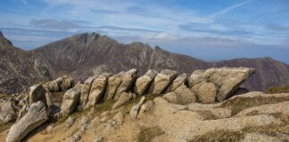 Jak nauczyć dziecko układać puzzle?