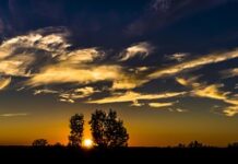 Co dla 4 letniej dziewczynki?