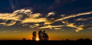 Co dla 4 letniej dziewczynki?