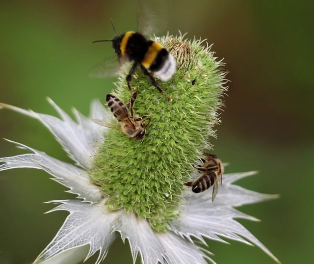 Jaki to kolor Ivory podkład? Jaki to kolor Ivory podkład?
