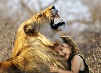 Jaka jest lepsza pościel bawełniana czy satynowa?