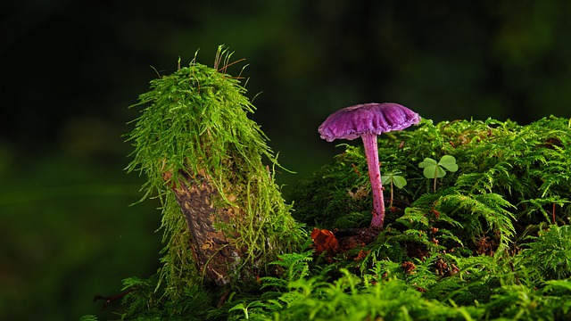 Czy farbę kredowa można zmyć? Czy farbę kredowa można zmyć?