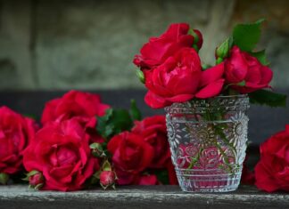 Ile kosztuje pojemnik 120L?